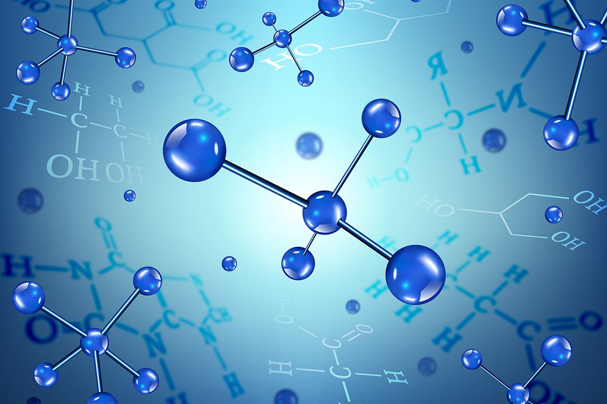 Disha Petrochem Sectors